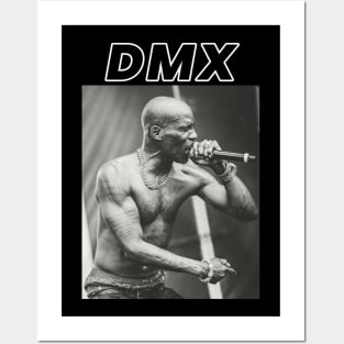 DMX Posters and Art